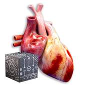 AR Medical 1.1