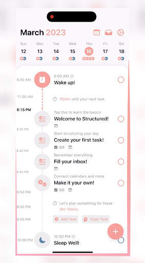 Structured To-Do Daily Planner screenshot 4