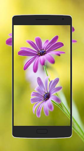 Flower Wallpaper screenshot 4