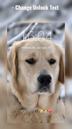 Labrador Lock Screen 3 تصوير الشاشة