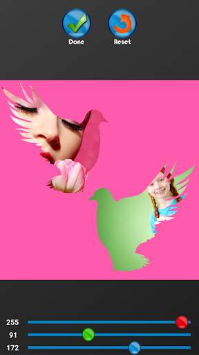 Tulip Photo Collage screenshot 6
