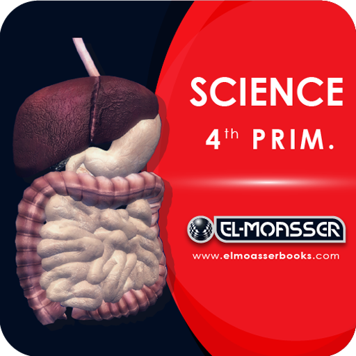 El-Moasser Digestive System 3D icon
