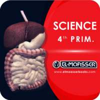 El-Moasser Digestive System 3D