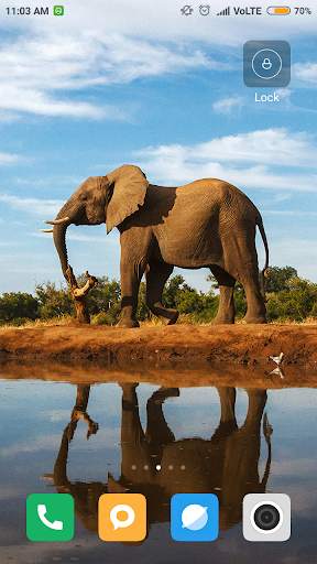 Elephant Wallpaper screenshot 14