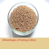 Ajwain khane Ke 130 Fayde In Hindi 1.0