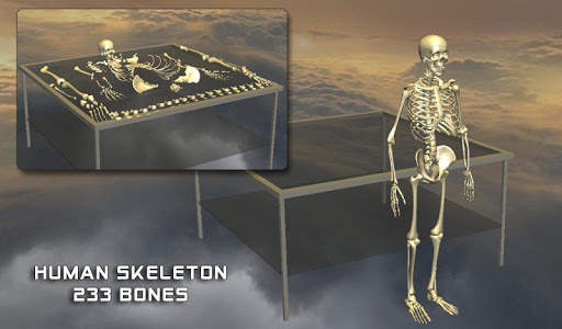 Body Disassembly 3D screenshot 8