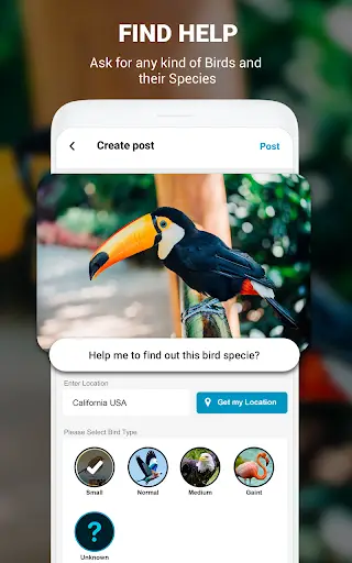 Birds Identifier App by Photo, Bird ID Camera 2020 screenshot 16