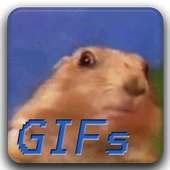 funny gifs logo
