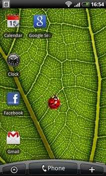 Ladybug - Live Wallpaper screenshot 1