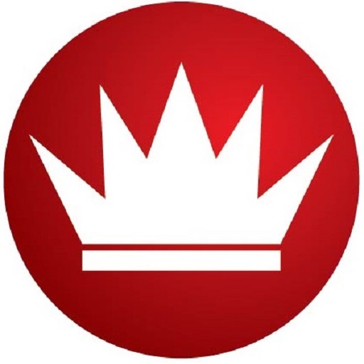 Dataking app icon