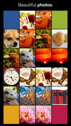 CAR & ANIMAL MEMORY FREE: COLORFUL GAME FOR ADULTS स्क्रीनशॉट 2