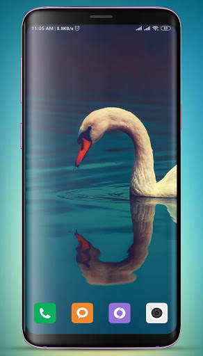 Swan Wallpaper screenshot 13