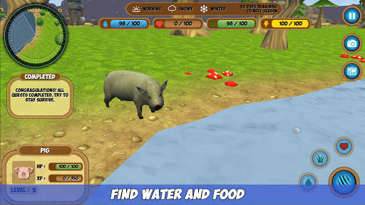 Pig Simulator screenshot 4