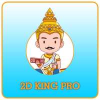 2D King Pro logo