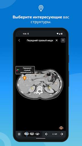 e-Anatomy скриншот 4