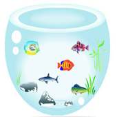 Fish Tank