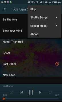 Dua Lipa Best Songs screenshot 4