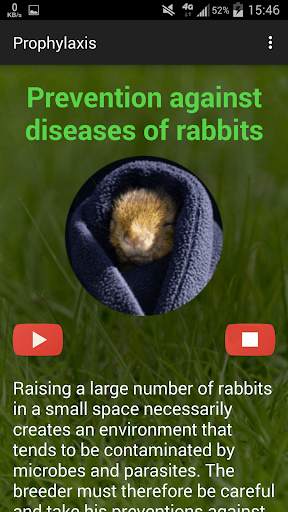 Rabbit breeding screenshot 3