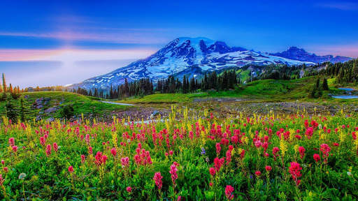 Spring Wallpapers : backgrounds hd screenshot 20