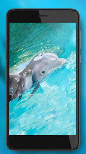 Dolphins Sounds Live Wallpaper screenshot 4