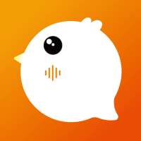 Link Chat- Video Living group& Chat Room on 9Apps