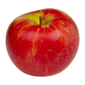 Apple Notes icon