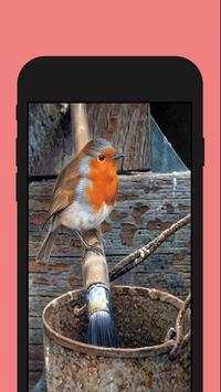 Birds ColorbyNumber - Coloring Book screenshot 2