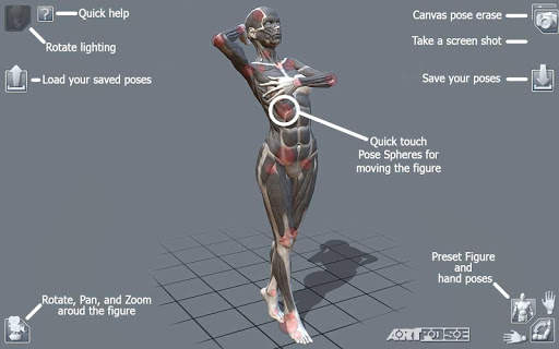 ArtPose Female Edition screenshot 12