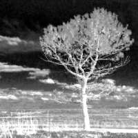 SpectraCam — See invisible. Near IR & UV camera. logo
