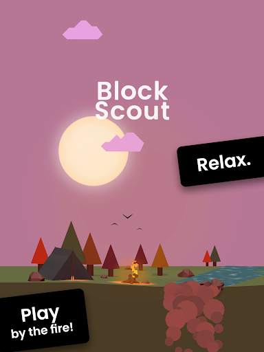 Block Scout - Stack and Relax скриншот 12