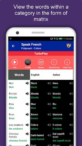 Speak French : Learn French La screenshot 7