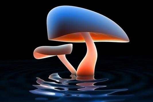 Mushroom Live Wallpaper screenshot 1