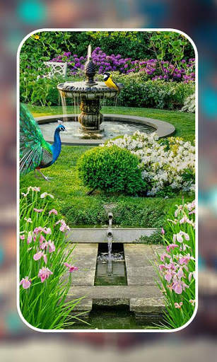 Garden Live Wallpapers screenshot 7