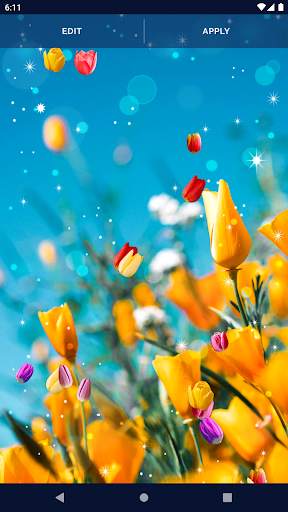 Tulip Spring 4K Wallpapers screenshot 5