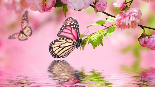 Butterfly Live Wallpaper (backgrounds) screenshot 9