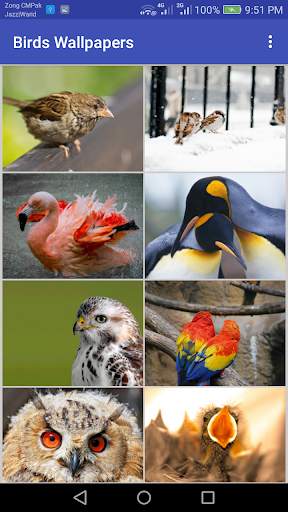 Birds Wallpapers स्क्रीनशॉट 2