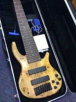 Bass-Gitarre-Unterricht screenshot 3