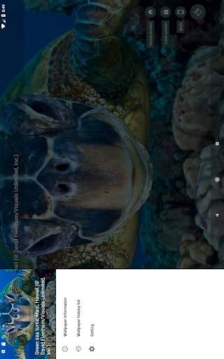 Starth Bing Wallpaper screenshot 8