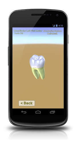 3D Tooth Anatomy स्क्रीनशॉट 2