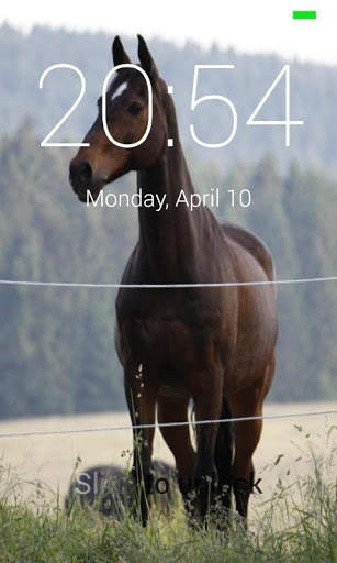 Horses Lock Screen screenshot 2