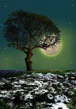 Sticker : goodnight gif - For whatsapp screenshot 5