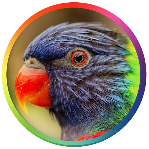 Best Bird Sounds And Ringtones 1.9