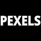 Pexels icon