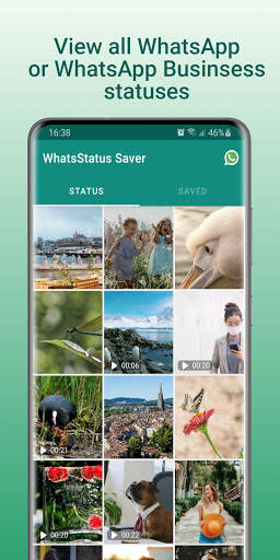 WhatsStatus Saver - Status Saver screenshot 1
