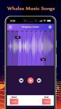 Whales Music Songs screenshot 4