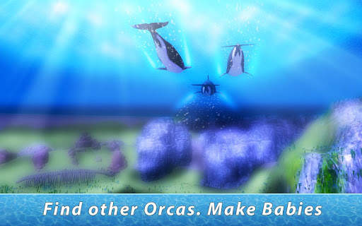 Orca Family Simulator screenshot 2