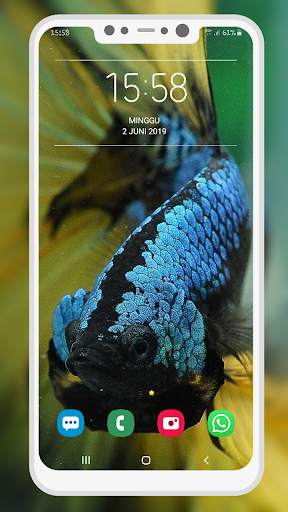 Betta Fish Wallpaper screenshot 3