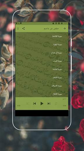 Muhammad Al-Minshawi - The Quran screenshot 2