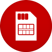 Sim Details icon