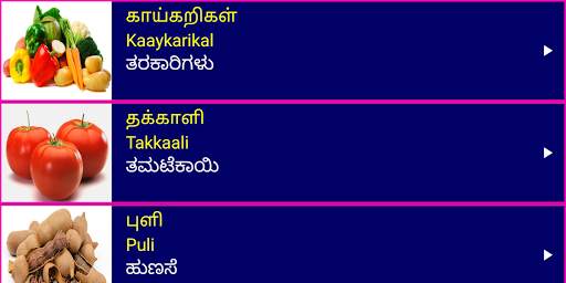 Learn Tamil From Kannada screenshot 14